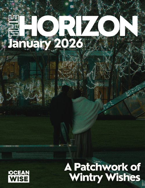 Horizon January 2026 cover